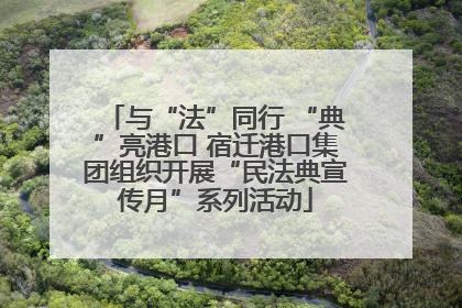 与“法”同行 “典”亮港口 宿迁港口集团组织开展“民法典宣传月”系列活动